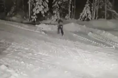 VIDEO KOJI ĆE VAS RASPLAKATI: Pas dao svoj ŽIVOT kako bi spasio DETE od VUKA!