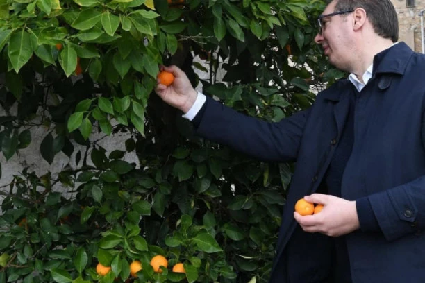 Predsednik Srbije završava posetu Hilandaru: Setio se i svoje dece i poneo im je originalan poklon