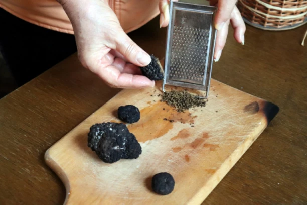 Misterija LEKOVITE i NAJSKUPLJE gljive na svetu: Tartufar otkrio TAJNU LOKACIJU u Srbiji gde niču kao iz vode!