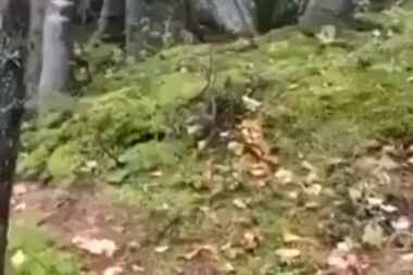 PALA JOŠ JEDNA ZABLUDA: Niti je snimak nastao u Hrvatskoj, niti prikazuje zemljotres