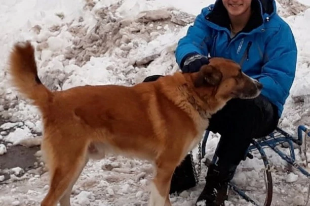 "Bio sam uplašen, šta da sam naišao na vukove?" Uroš koji se izgubio na Staroj Planini ispričao ŠTA SE DESILO i poslao VAŽNU PORUKU!