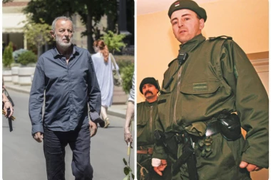 NE BI BILO ARKANA DA NIJE ALEKSIĆA: Ražnatović ga primio u stranku, zauzvrat Mika imao SPECIJALNE ZADATKE