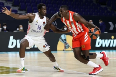 NEVEROVATNO: Istorija ne laže, evo zašto je Zvezdi POBEDA u Kupu Radivoja Koraća GOTOVO ZAGARANTOVANA!