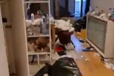 (VIDEO) STANARI IZ PAKLA! Izdao stan na dan u elitnom kraju, a gosti se poneli ko prva STOKA: Uništili sve što se moglo uništiti