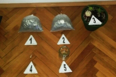UHAPŠEN DILER IZ BEOGRADA! Policija pronašla marihuanu i kokain!