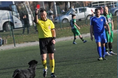 (FOTO) FUDBAL OVO NIKADA NIJE VIDEO: Na utakmici Radničkog i Kolubara KUČE DOBILO CRVENI KARTON!
