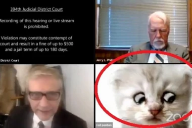 (VIDEO) SMEHOTRESNO! Advokat se uključio u suđenje sa filterom, pa nije znao da isključi: Uživo sam, ja nisam mačka!