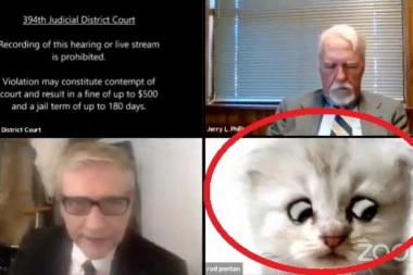 (VIDEO) SMEHOTRESNO! Advokat se uključio u suđenje sa filterom, pa nije znao da isključi: Uživo sam, ja nisam mačka!