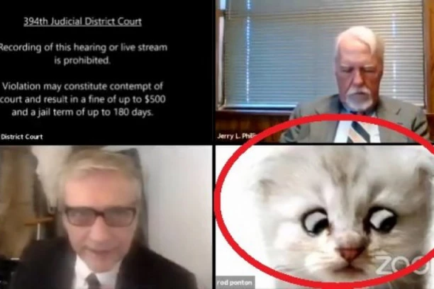 (VIDEO) SMEHOTRESNO! Advokat se uključio u suđenje sa filterom, pa nije znao da isključi: Uživo sam, ja nisam mačka!