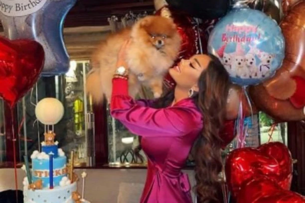 (FOTO) ANA KORAĆ DALA PRAVO BOGATSTVO ZA ROĐENDAN PSA: Luksuzni restoran, torta i gosti kao za PUNOLETSTVO DETETA!