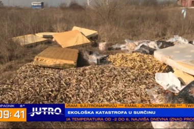 (FOTO) EKOCID U SURČINU: TONE pilećeg otpada šire NESNOSAN smrad sa divlje deponije u blizini VODOIZVORIŠTA!