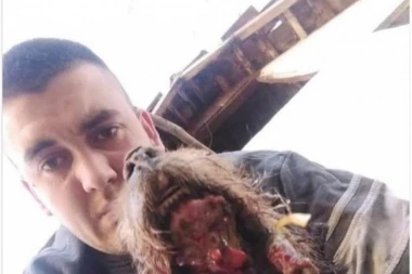 (FOTO) UŽASAN SLUČAJ ZLOSTAVLJANJA PSA U LAJKOVCU! Vlasnik se još pohvalio njegovim umećem! LEVIJATAN NAJAVLJUJE TUŽBU!