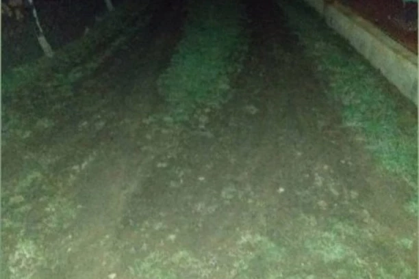 (FOTO) U FEKALIJAMA DO GUŠE! Građani ovog dela Kragujevca žive bukvalno u BLATU, oglasili se i iz gradske uprave!