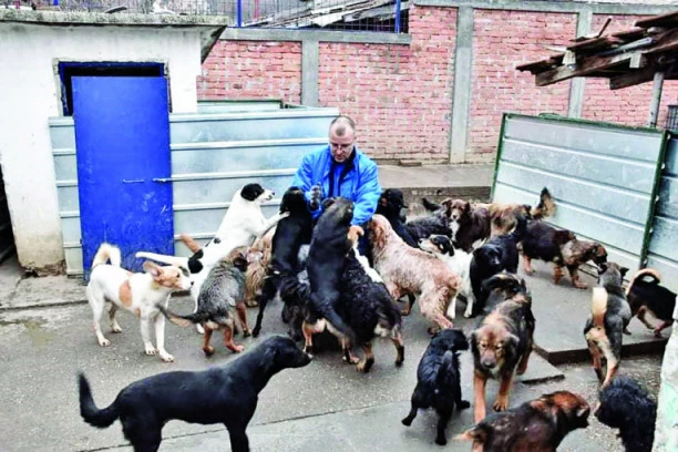 ISPOVEST HEROJA iz Obrenovca: Goran ceo život posvetio psima!