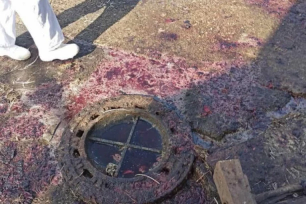 (FOTO) OSTACI ŽIVOTINJA I VODA IZ KLANICE UGROŽAVAJU OKOLINU: Ministarstvo zaštite životne sredine pokrenulo postupak protiv "Premium Čiken"!