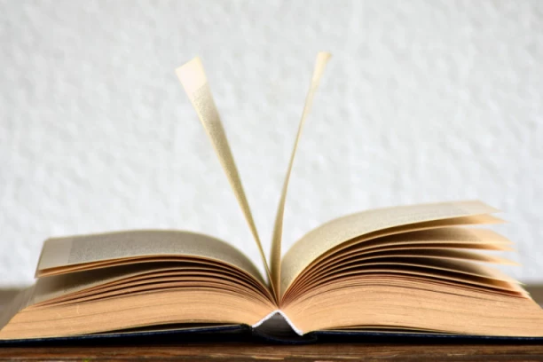 OVO SU PET NAJRUŽNIJIH REČI SRPSKOG JEZIKA! Iznenadićete se kad vidite koje su izabrane! (FOTO)