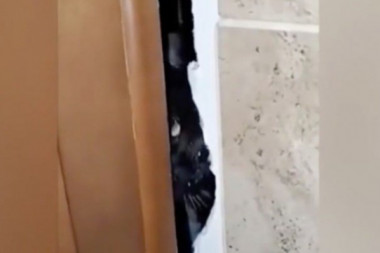 (VIDEO) ČOVEK JE POZVAO MAJSTORE DA MU POSTAVE KADU, A KAD SU OTIŠLI NASTAO JE HAOS: Kad je video da mu je mačka zazidana - šokirao se