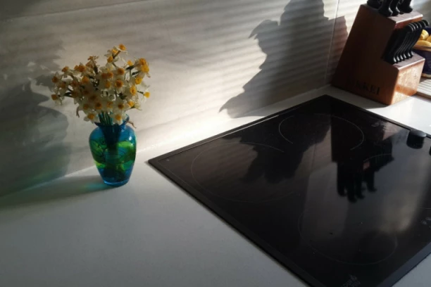 Ako ne želite da UNIŠTITE INDUKCIJSKU PLOČU, nikako ne pravite ovih 7 grešaka