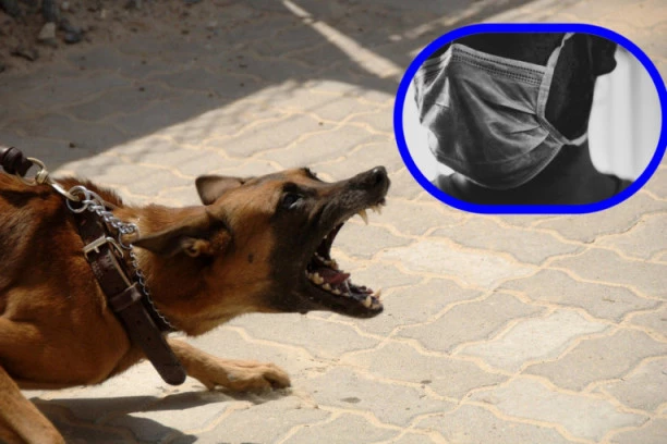 PSI SE PLAŠE LJUDI SA MASKAMA ZA LICE: Sredite problem kod svog ljubimca na OPROBAN način