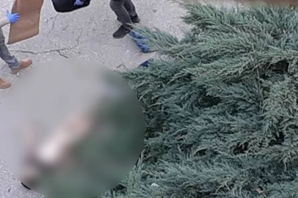 PRONAĐENO BEŽIVOTNO TELO KOD SKUPŠTINE!