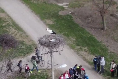 (FOTO) VRATILE SE RODE! Prvoje devetu godinu dolazi u Zrenjanin, meštani presrećni: Ovaj put nije stigao sam!