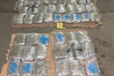 ZAPLENJENO 110 KILA MARIHUANE! Uhapšene dve osobe iz Beograda!