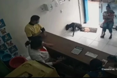 (VIDEO) POVREĐENI PAS DOŠAO SAM NA PREGLED! UŠETAO U VETERINARSKU AMBULANTU I POKAZAO GDE GA BOLI!