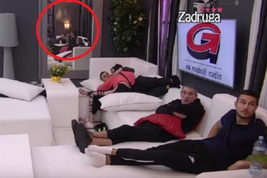 (VIDEO) ŠOK U ZADRUZI: Životinja pala SA PLAFONA KUĆE, ukućani vrištali!