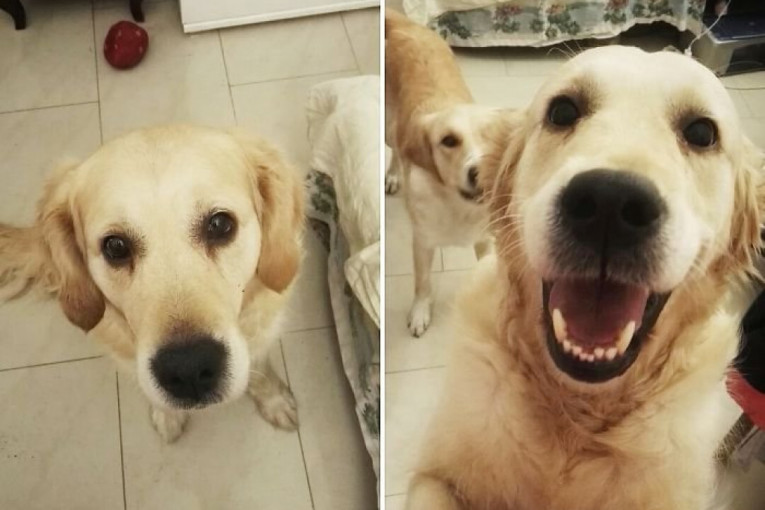 Kada im kažete da su dobri, oni nemogu da ostanu mirni