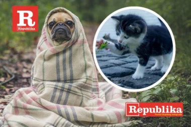 VAŽNO! NOVI KRUG NAGRADNOG KONKURSA MOJ LJUBIMAC I JA: Šaljite fotografije i osvojite vredne nagrade!