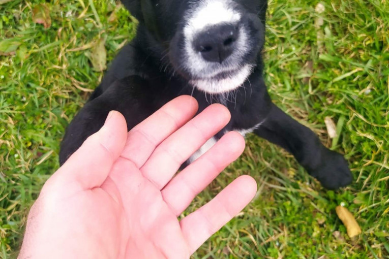 Zurine devojčice sutra idu u nov dom