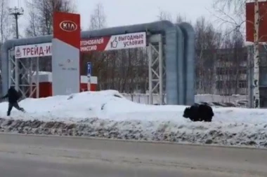 OGROMAN MEDVED PRIŠUNJAO SE ČOVEKU USRED DANA U GRADU! Pogledajte kako se spasio! (VIDEO)