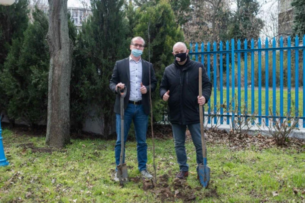 Još jedna uspešna akcija "Borbe": SADNICE ZA DOM UČENIKA SREDNJIH ŠKOLA "MILUTIN MILANKOVIĆ"