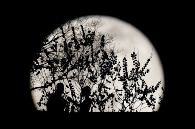 Pun Mesec u Lavu: Svi horoskopski znaci dobijaju šansu