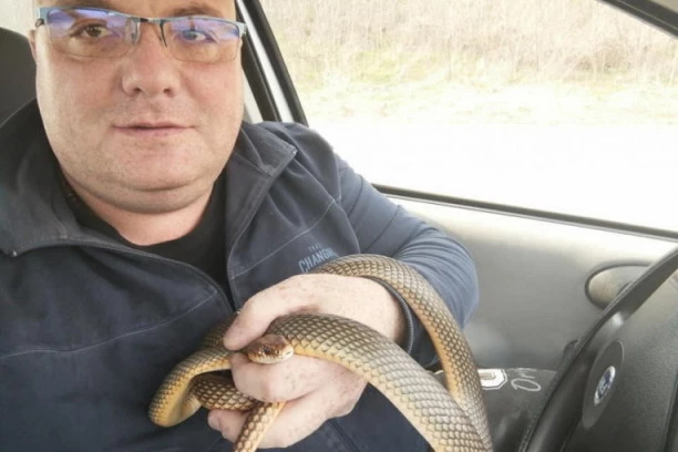 VLADICA JE KRALJ ZMIJA U SRBIJI! Jedan događaj je bio prekretnica da postane HVATAČ, nalazio ih čak i u DEČIJEM KREVECU!