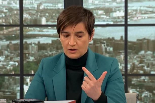 KURTI SAMO PRETI, NEKA VEĆ JEDNOM TUŽI! Brnabić: Hajde da vidimo šta ima da kaže u toj tužbi