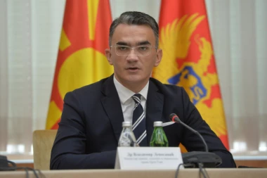 SMENJEN VLADIMIR LEPOSAVIĆ