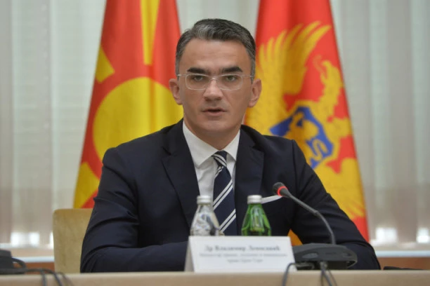 SMENJEN VLADIMIR LEPOSAVIĆ