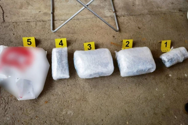 (FOTO) POLICIJSKA AKCIJA U LESKOVCU: Zaplenjeno 2,5 kilograma marihuane, uhapšena dvojica Nišlija