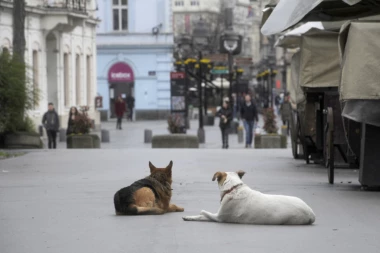 U SRBIJI SVEŽIJE JUTRO: Tokom dana pretežno sunčano i toplo, uz slab i umeren vetar