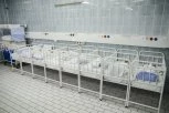LESKOVČANKE SPAŠAVAJU SRBIJU OD BELE KUGE: Bebi-bum u porodilištu, 22 beba više nego u julu prošle godine