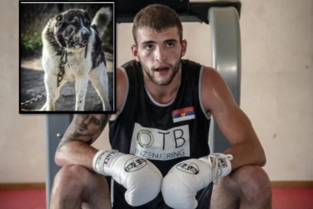 VELJKO RAŽNATOVIĆ BESAN KAO RIS: Slepac je stavio mog psa na OGLAS!