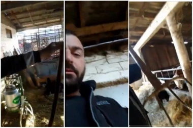 (VIDEO) NE VILA, NEGO VILE! Ergonomski oblikovana držalica pogodna za rad u štali: HIT SNIMAK RUŠI INTERNET