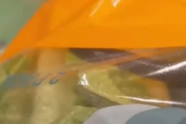 (VIDEO) PAR SE ŠOKIRAO NAKON OTVARANJA KESE ZELENE SALATE: Mislili smo da je ogroman crv, a onda je životinja izbacila jezik