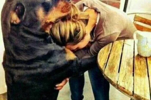 Probajte da NE ZAPLAČETE posle ovih FOTKI: Iskoristite pse da spasite psihu od pandemije