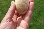 (FOTO) Kod Gnjilana kokoška snela jaje sa BOŽJIM ZNAKOM: Pogledajte šta se ocrtava na njemu! Porodica veruje da je reč o BLAGOSLOVU