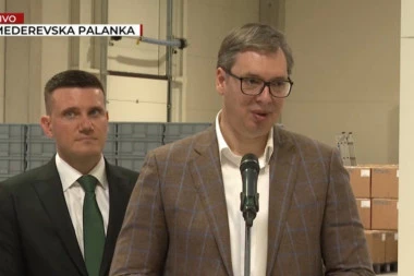 Vučić: Pozivam institucije da ne slušaju ni Mariniku, ni Palmu, ni mene, nek rade svoj posao po zakonu! (VIDEO)