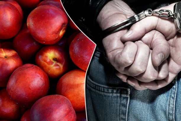 VOĆARI OJADILI DRŽAVU ZA BASNOSLOVNE PARE: Obogatili se na nektarinama a dobit pribavili na podmukao način