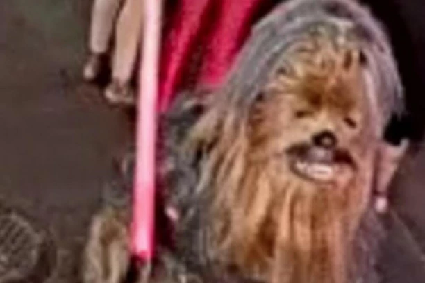 OVO JE MUŠKARAC KOJI JE ISEKAO ČOVEKA! Američki policajci briljirali: Raspisali poternicu za ČUBAKOM