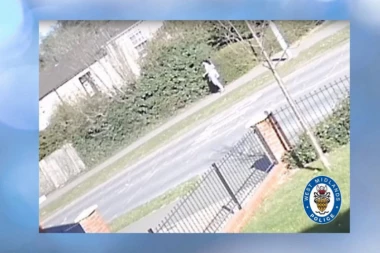 OVO JE NAPUŠTENA BEBA KOJU JE HASKI PRONAŠAO! Kamere snimile majku kako odlazi (FOTO)